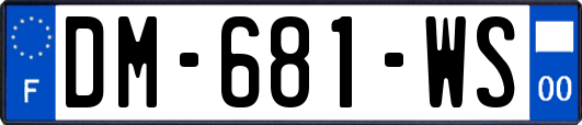 DM-681-WS