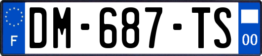 DM-687-TS