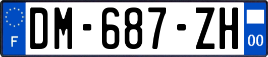 DM-687-ZH