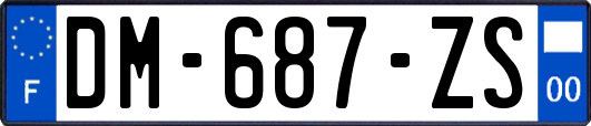 DM-687-ZS