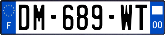 DM-689-WT