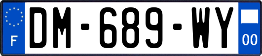 DM-689-WY
