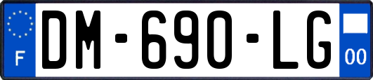DM-690-LG