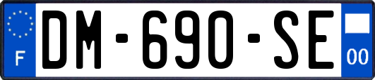 DM-690-SE