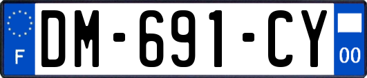 DM-691-CY