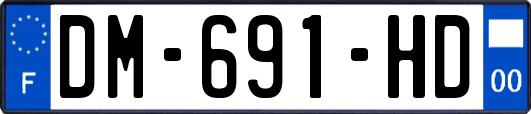 DM-691-HD