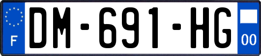 DM-691-HG