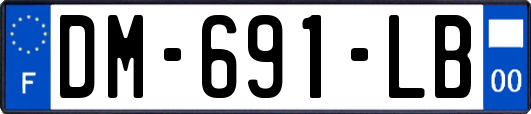 DM-691-LB
