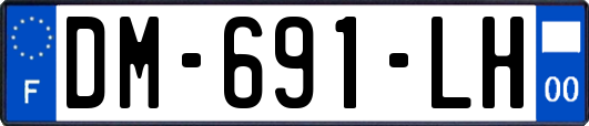 DM-691-LH