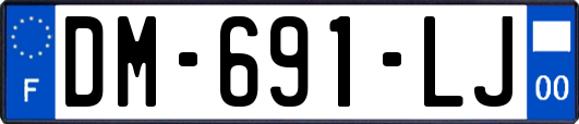 DM-691-LJ