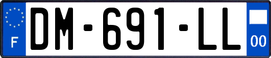 DM-691-LL