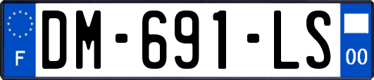 DM-691-LS