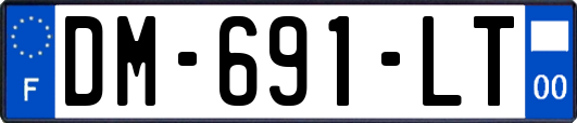 DM-691-LT