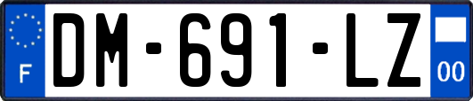 DM-691-LZ