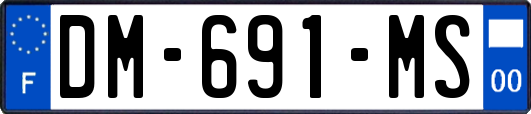 DM-691-MS