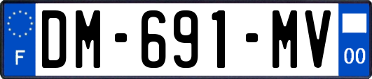 DM-691-MV