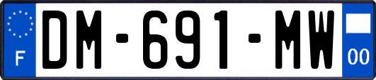 DM-691-MW