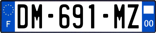 DM-691-MZ