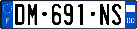 DM-691-NS