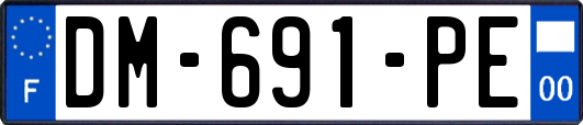 DM-691-PE
