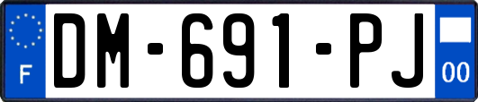 DM-691-PJ