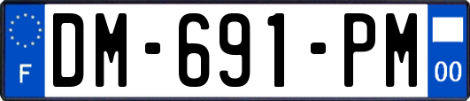 DM-691-PM