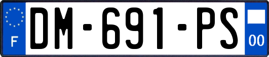 DM-691-PS