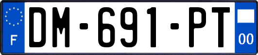 DM-691-PT
