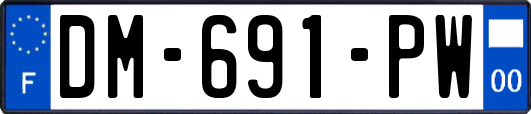 DM-691-PW
