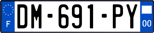DM-691-PY