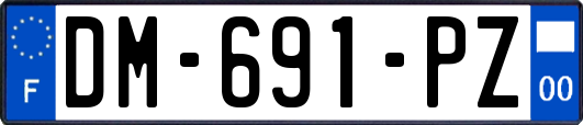 DM-691-PZ