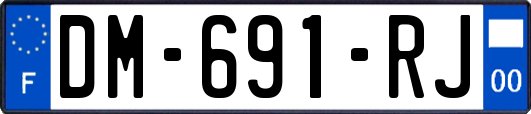 DM-691-RJ