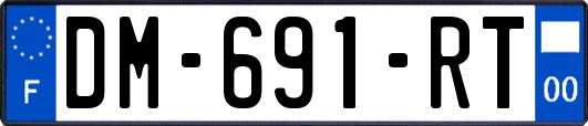 DM-691-RT