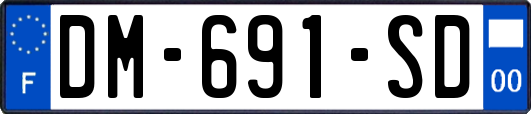 DM-691-SD