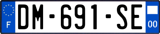 DM-691-SE