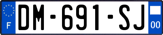 DM-691-SJ