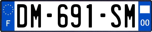 DM-691-SM