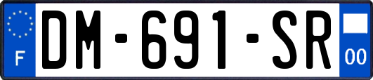 DM-691-SR