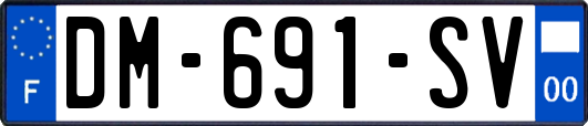 DM-691-SV