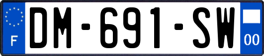 DM-691-SW