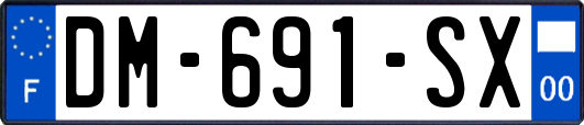 DM-691-SX