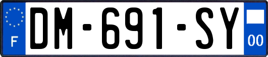 DM-691-SY