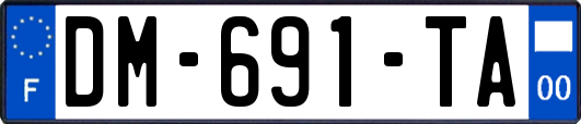 DM-691-TA