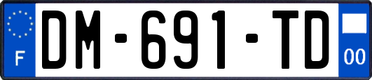 DM-691-TD