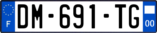DM-691-TG