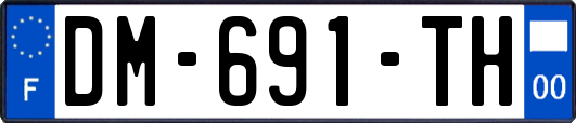 DM-691-TH