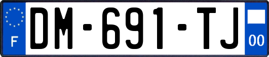DM-691-TJ