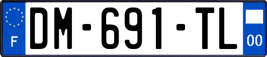 DM-691-TL