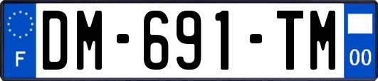DM-691-TM