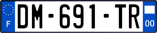 DM-691-TR